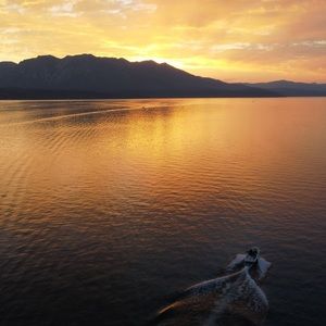 Meet your Posher, Kiera